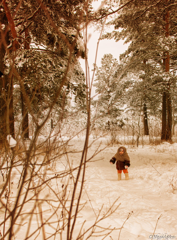 прогулка в лесу - Ольга Васильева