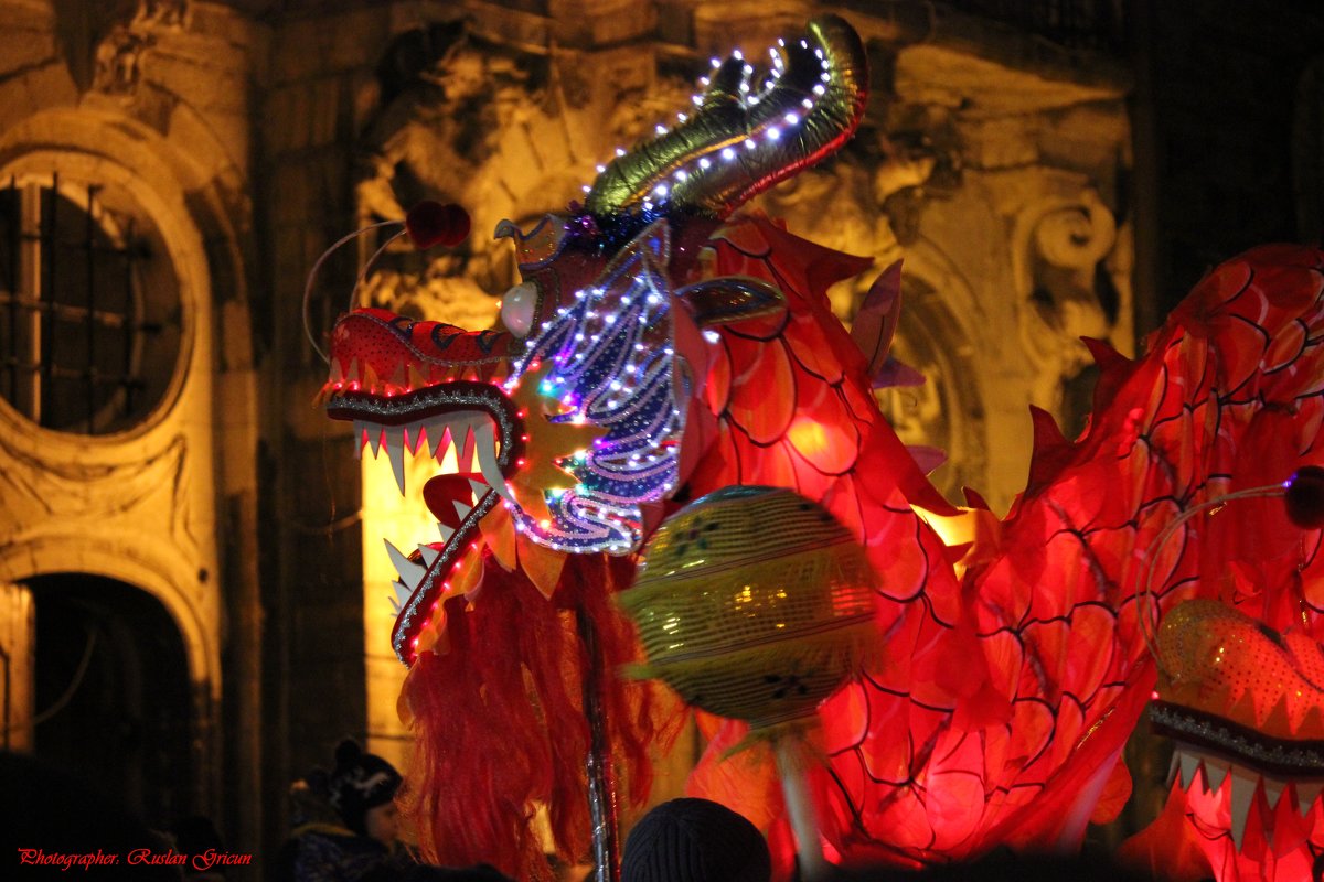 Празднование Китайского Нового года во Львове-2. - Руслан Грицунь