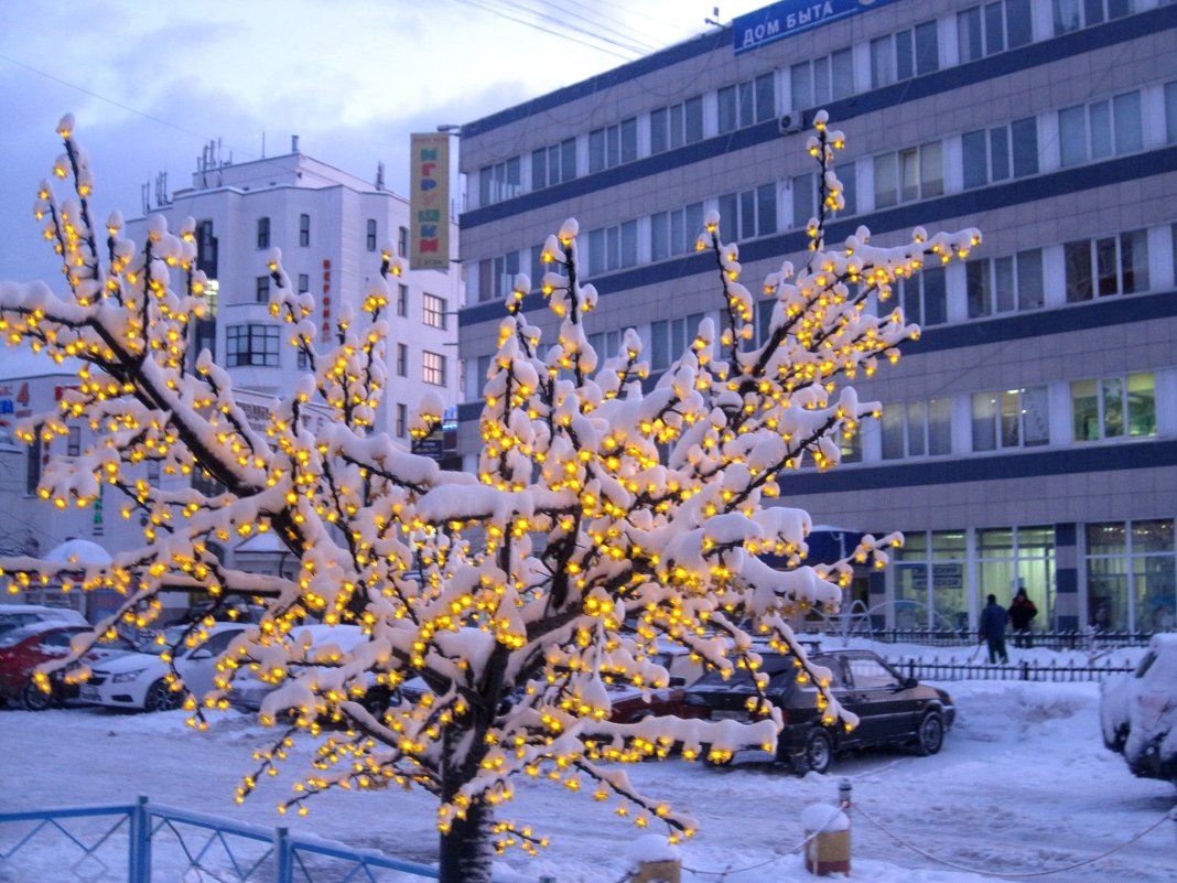 Снежное дерево украшает город - Елена Семигина