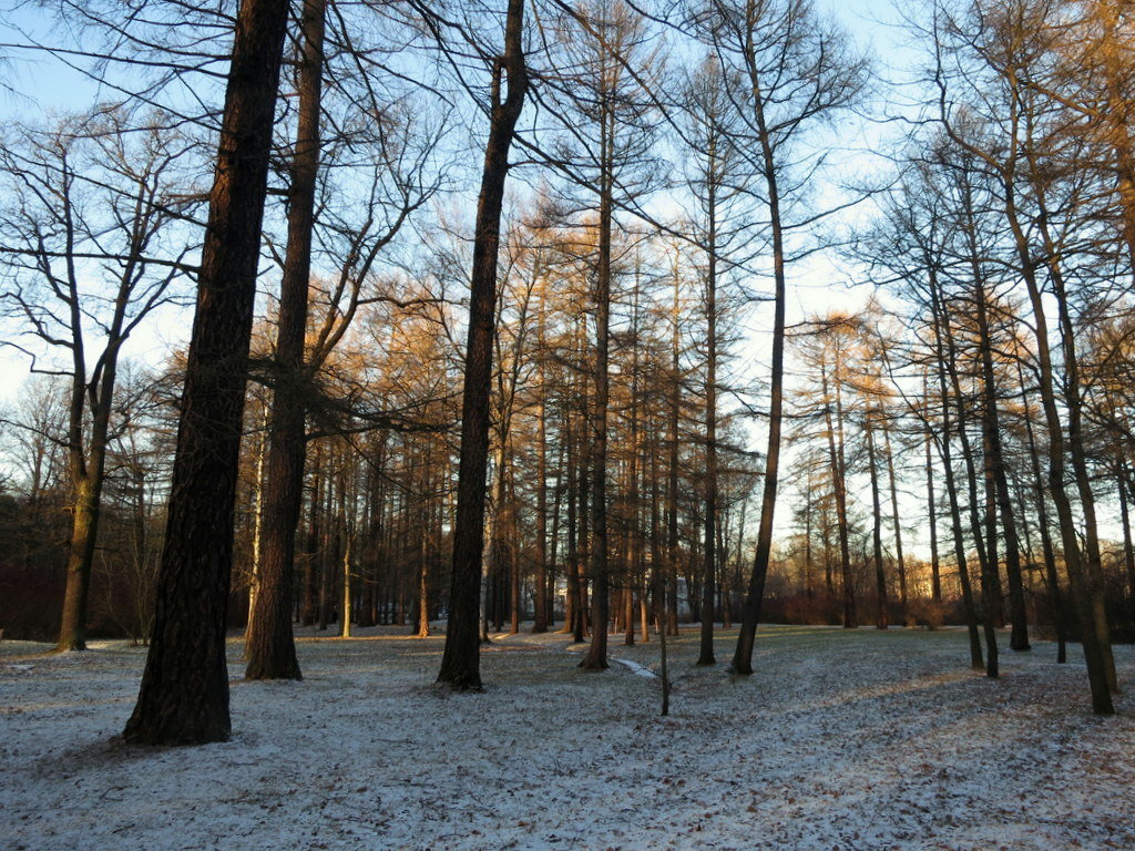 В зимнем парке-2 - Валентина Жукова