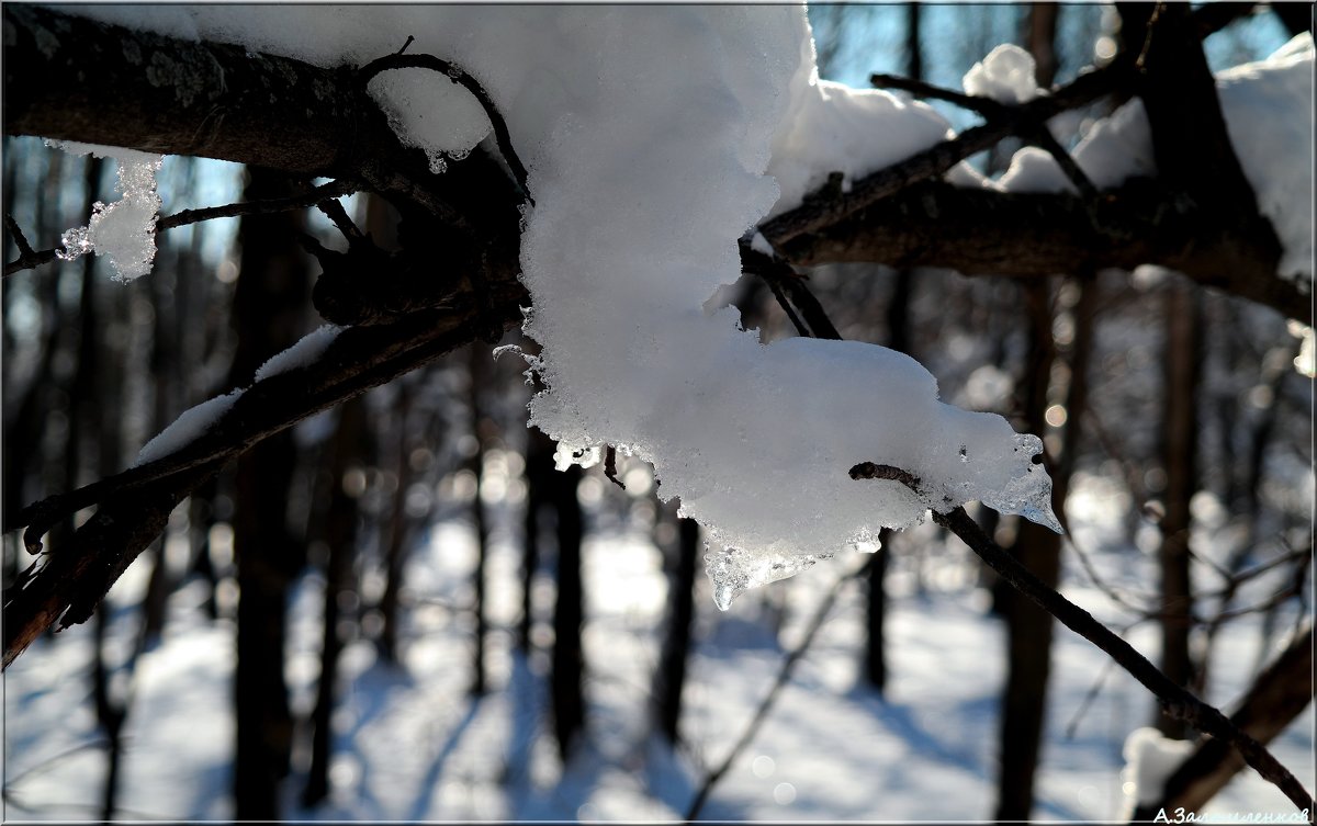 Снежные украшения - Андрей Заломленков