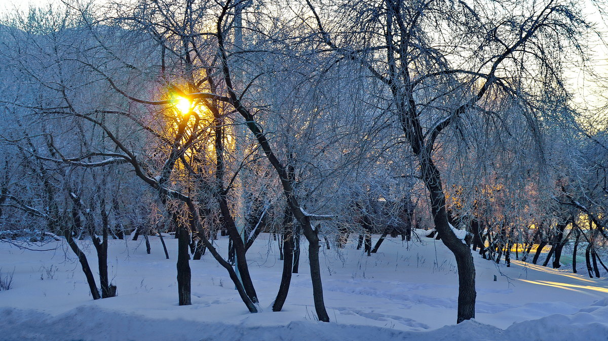 Зима в  "Переделкино" - A. SMIRNOV