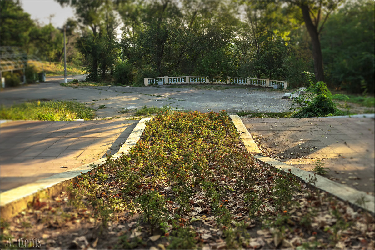 Старый парк - Denis Aksenov