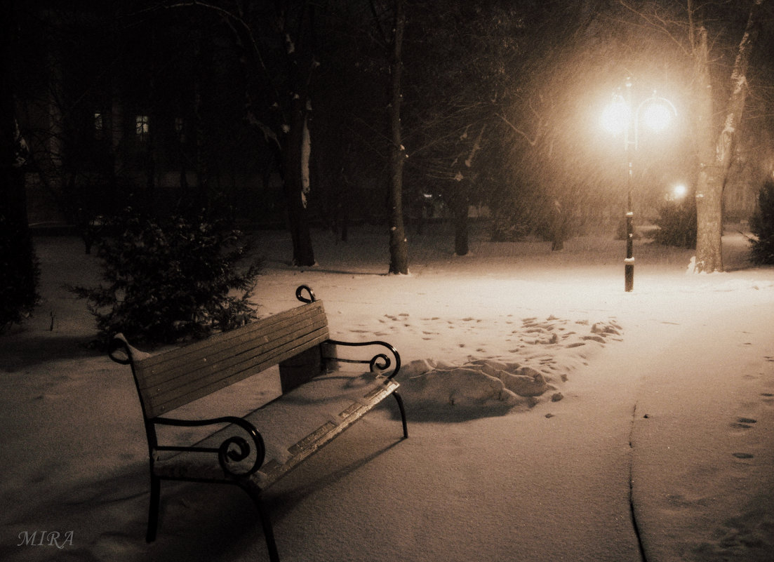 Зима одиночество любит... - *MIRA* **