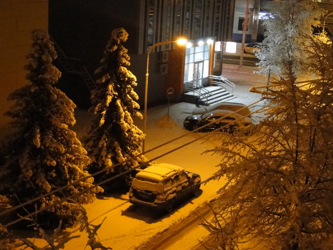Ночь в зимнем городе - Александр Винников