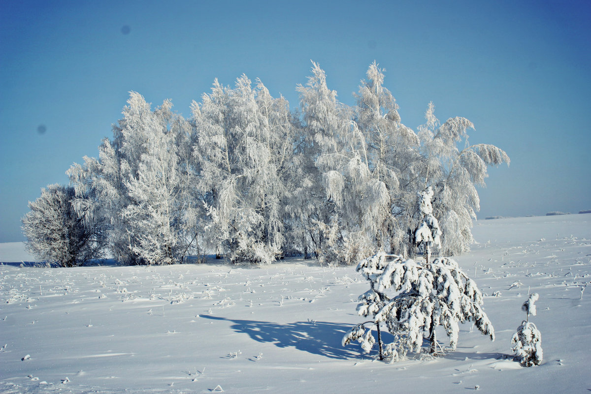 зима 2016 - Марьям 