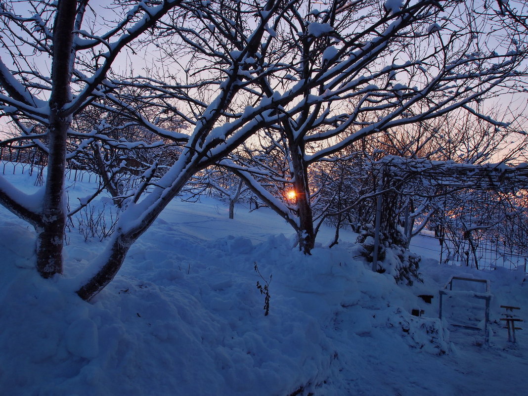 Экскурсия в Гадюкино зимой (40) - Александр Резуненко