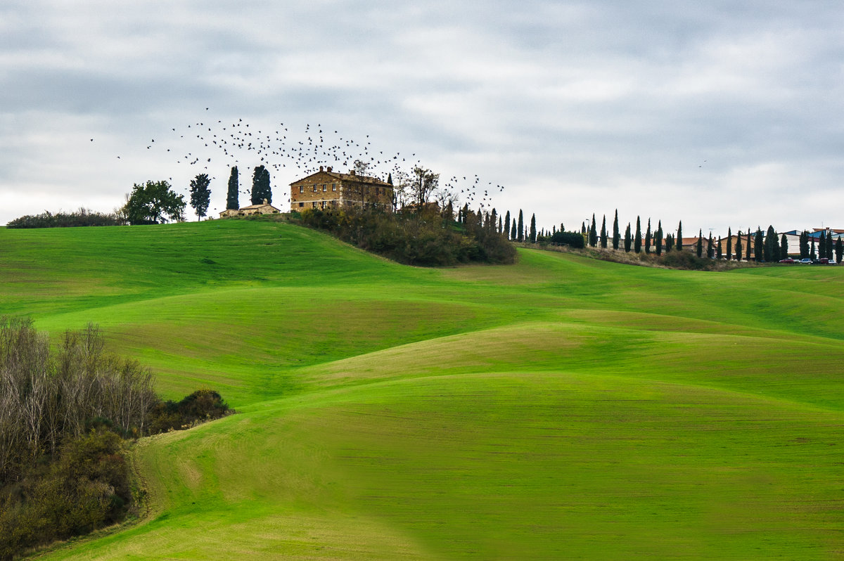 На волнах холмов долины Д Орча. Из серии "Toscana - amore mio" - Ашот ASHOT Григорян GRIGORYAN
