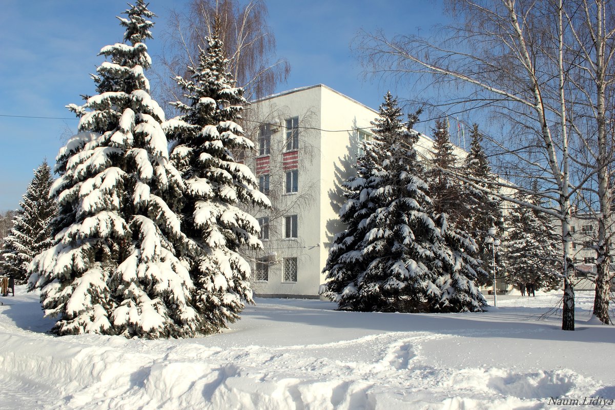Мой любимый город в пушистом снегу - Лидия (naum.lidiya)