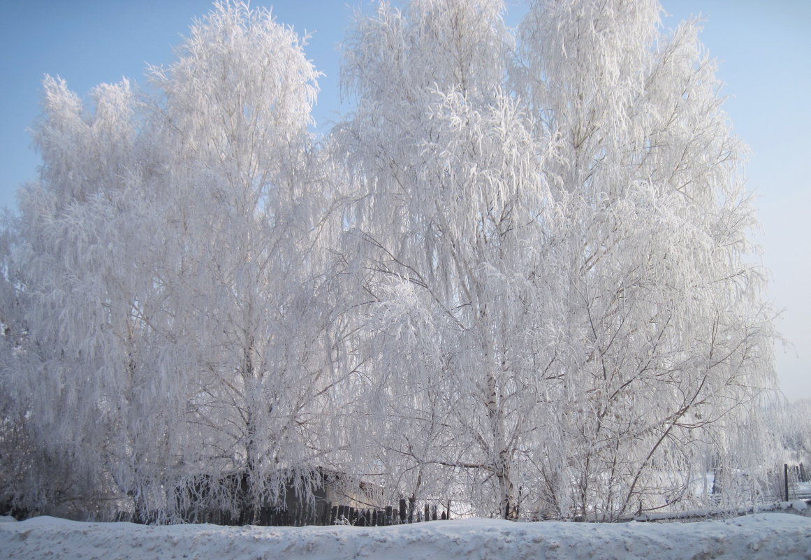 Зима в Сибири - Колибри М
