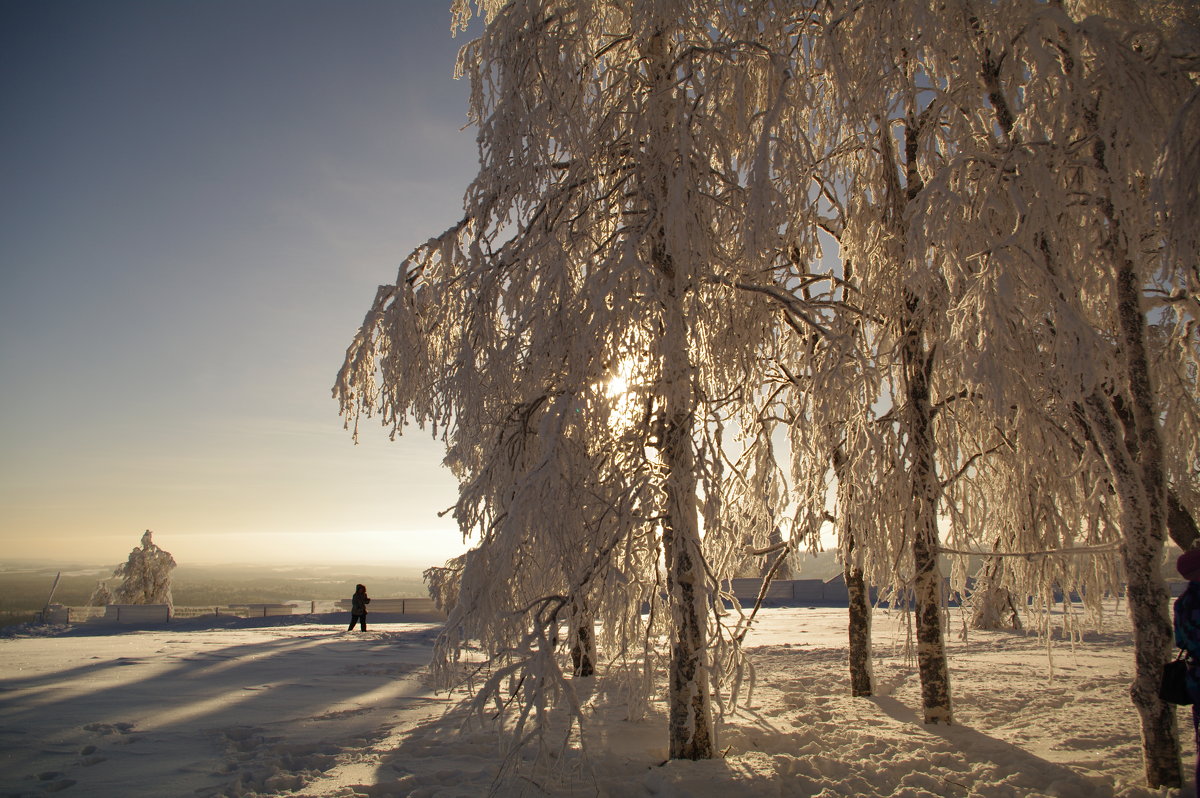 Зима и путник - Валерий Струк 