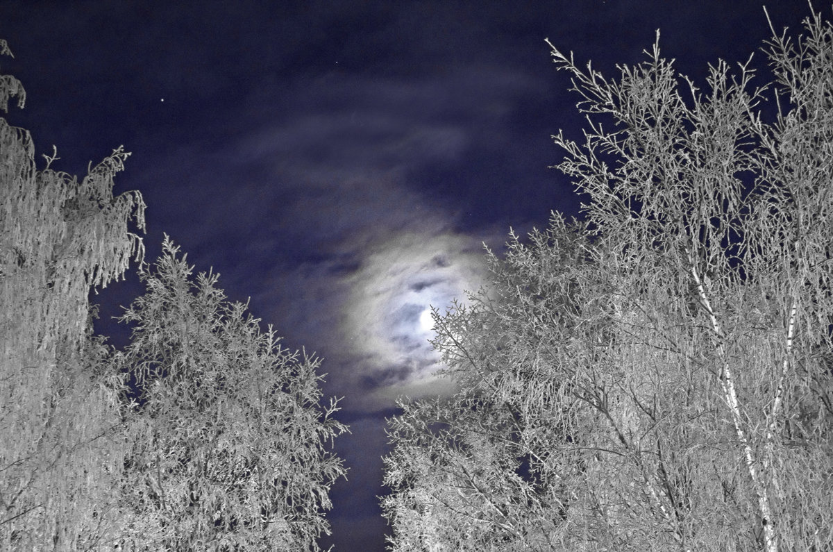 Лунная ночь - Валерий Талашов 