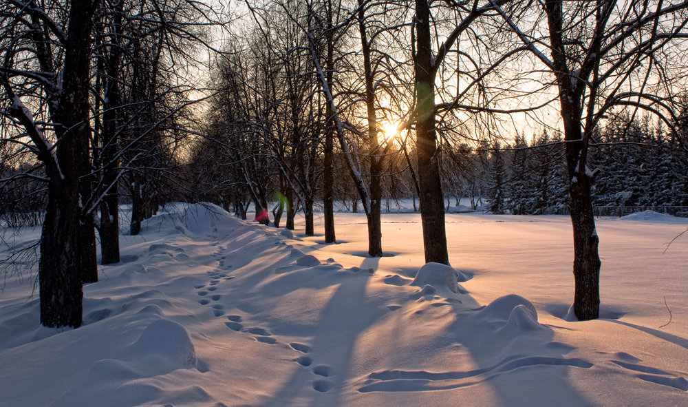 Вечер в зимнем парке - Ольга Фролова