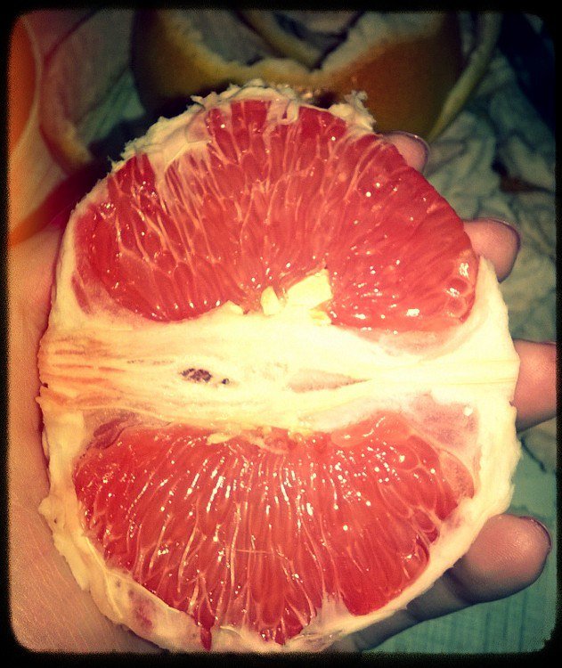 Grapefruit - Deutsch Rock