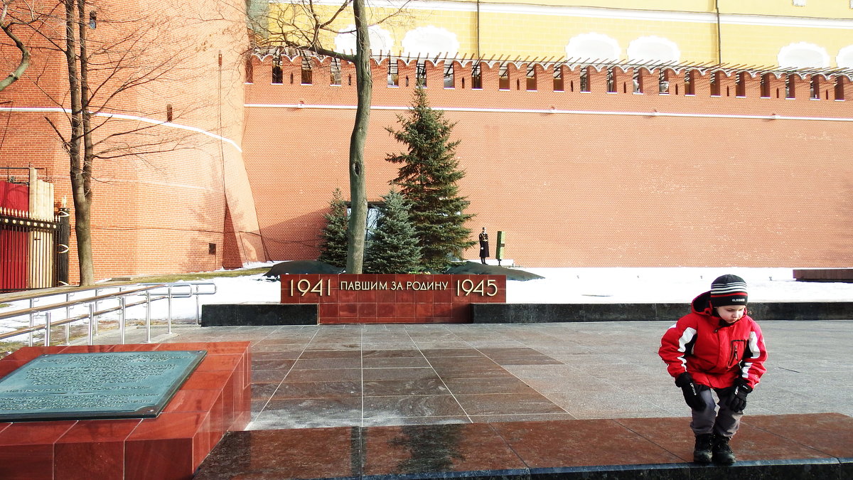 Февральским днем у Кремлевской стены... - Лара ***