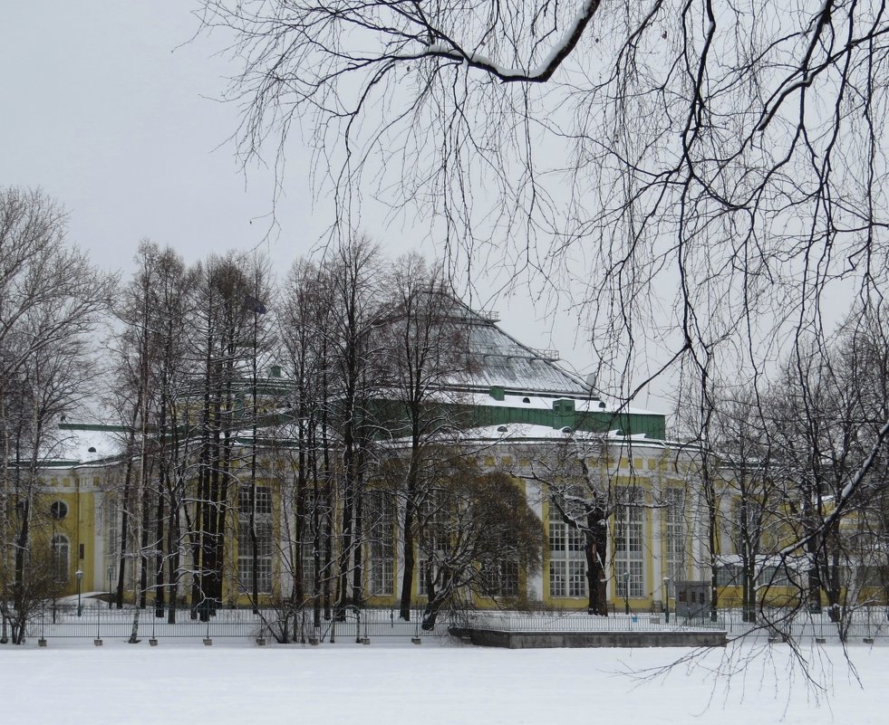 Таврический дворец - Вера Щукина