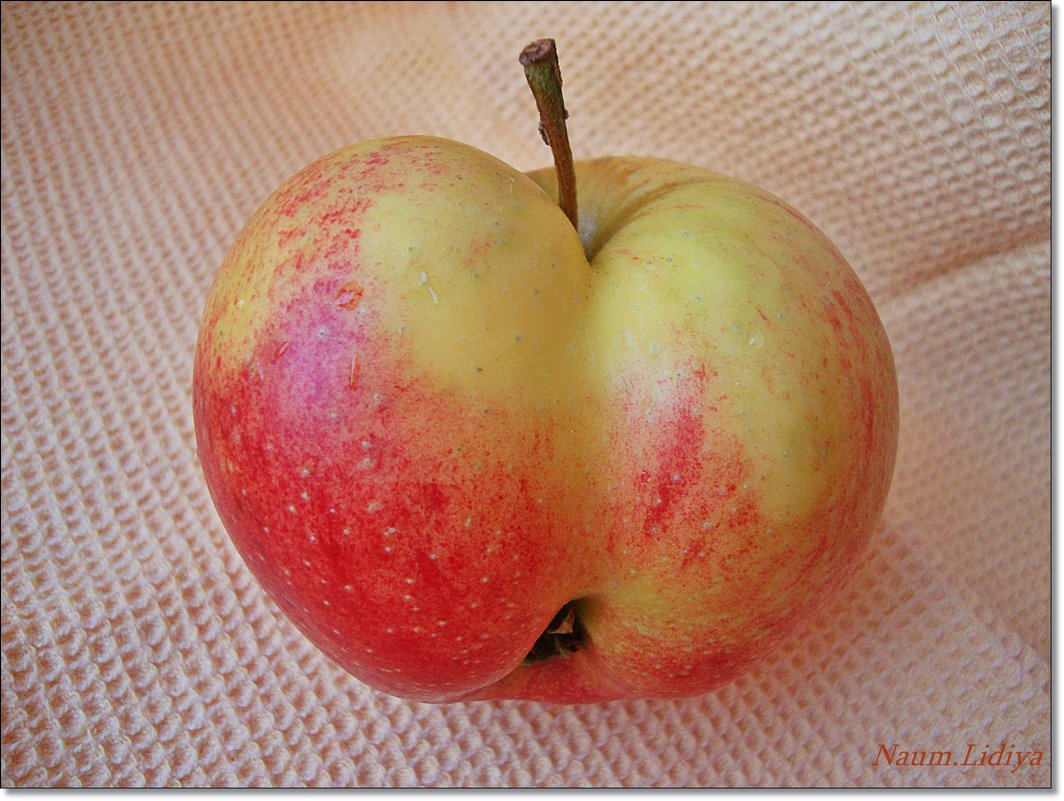 Сердечное яблочко - Лидия (naum.lidiya)