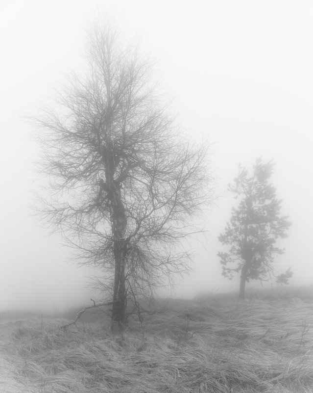 В тумане на Демерджи - Антон Фатыхов 