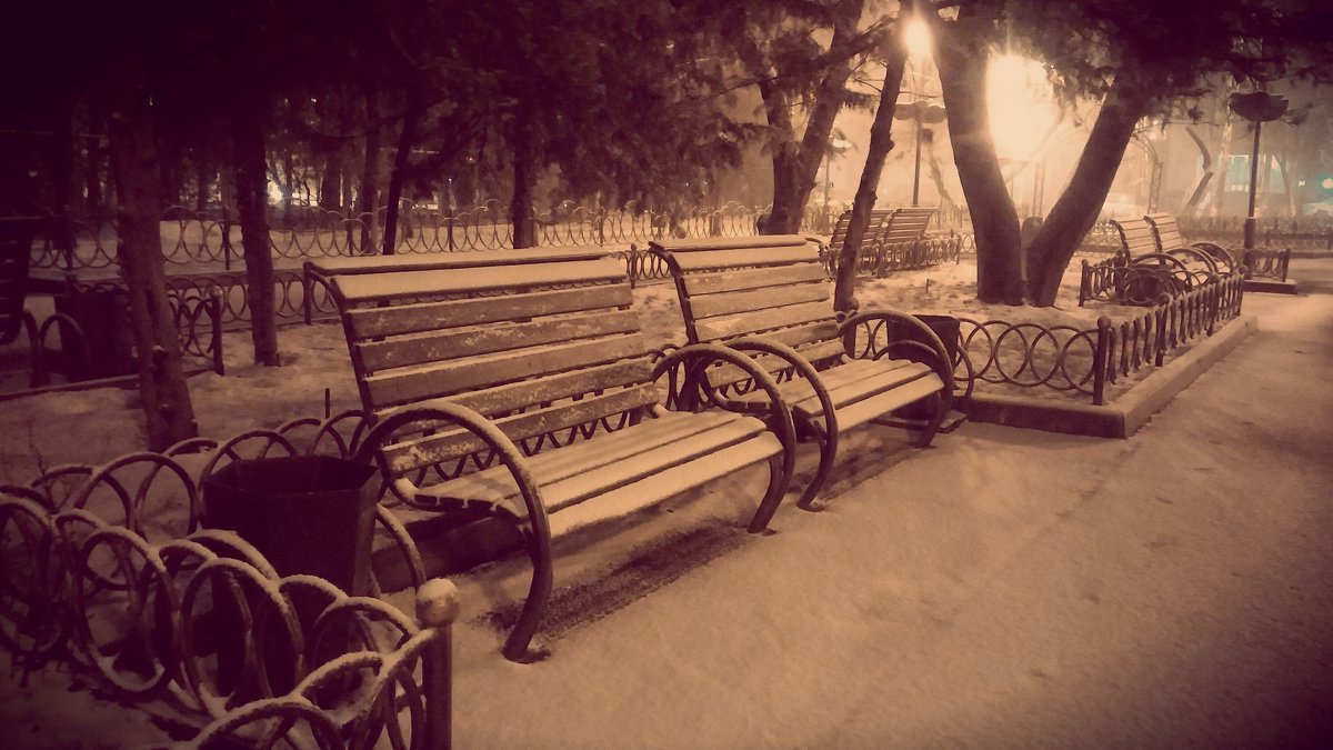Зимний парк - Timofey Beloussov 