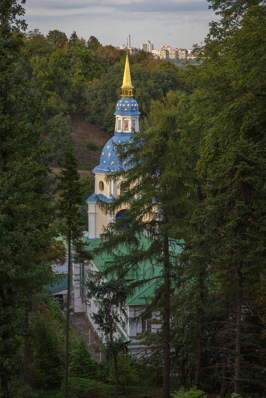 ... - Андрей Нибылица