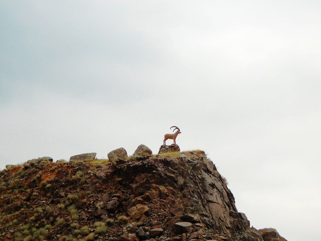 козел на вершине горы - Александра Полякова-Костова