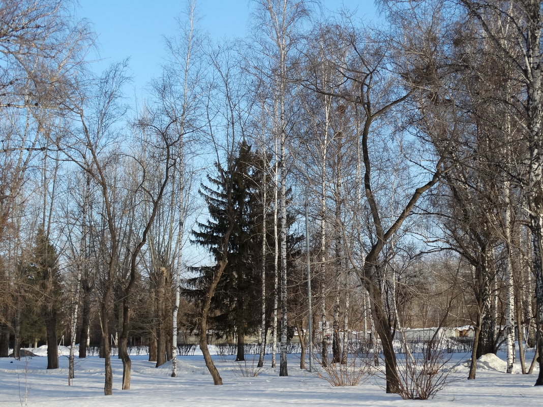 В парке - Александр Подгорный