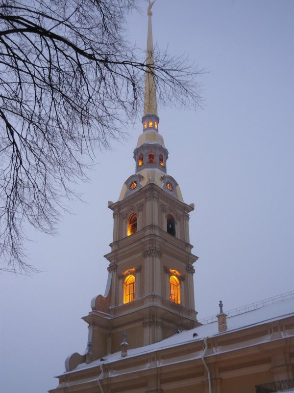 Колокольня Петропавловского собора - Вера Щукина