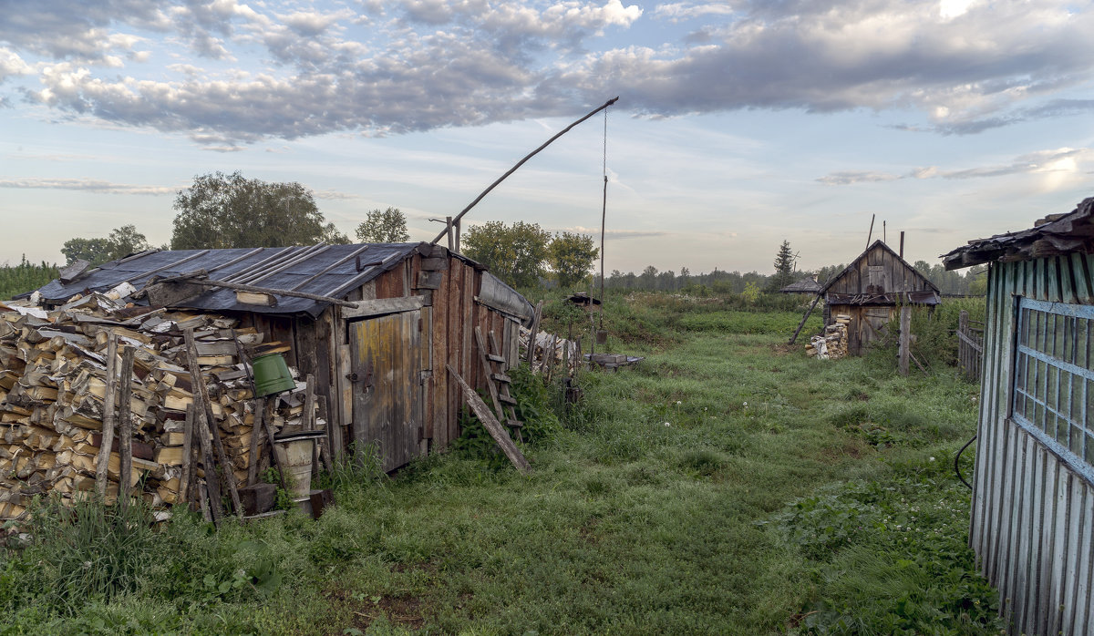 Старый журавль - Борис 