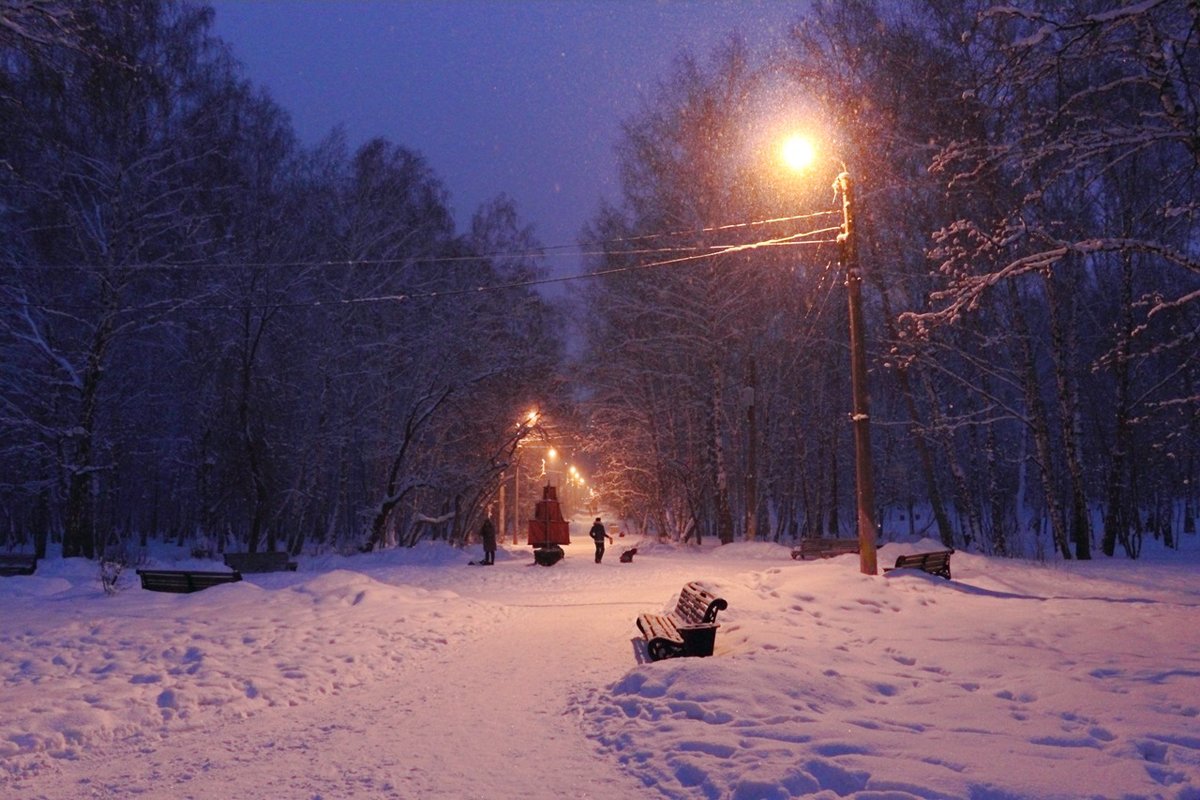 Вечерний снегопад - Мария Кухта