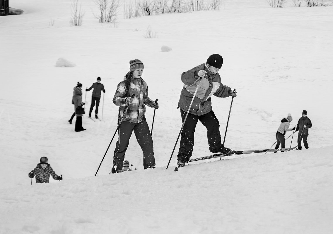 Лыжники - Владимир Голиков