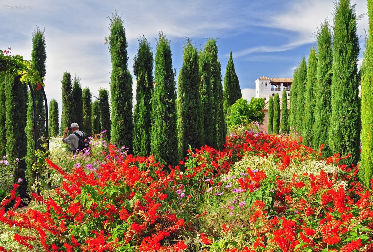 Generalife#1 - Mikhail Yakubovskiy