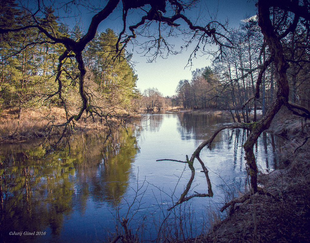 *** - Jurij Ginel