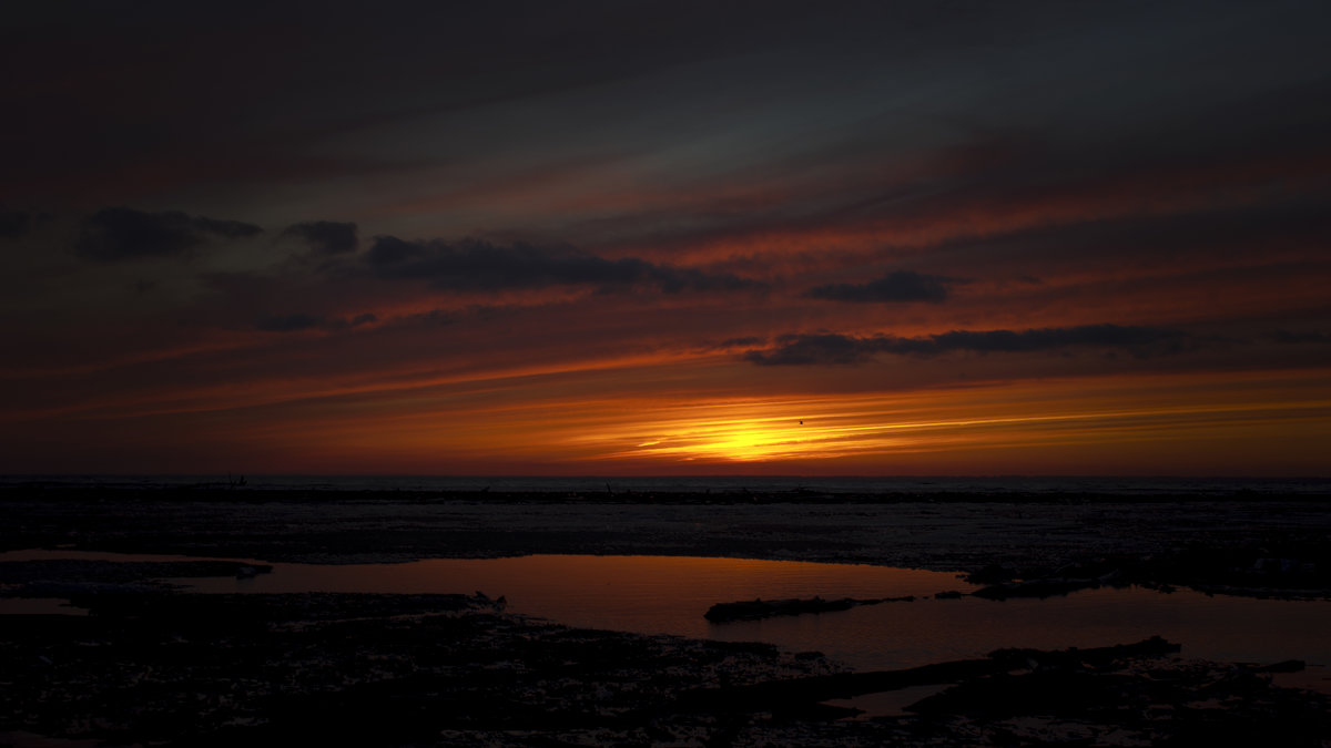 Закат в мае на Обском водохранилище - Виктория - репортажный фотохудожник