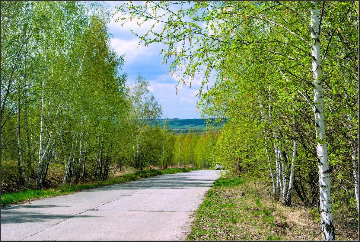 Картинки первая зелень