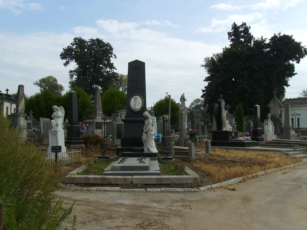 Старое  кладбище  в  Черновцах - Андрей  Васильевич Коляскин