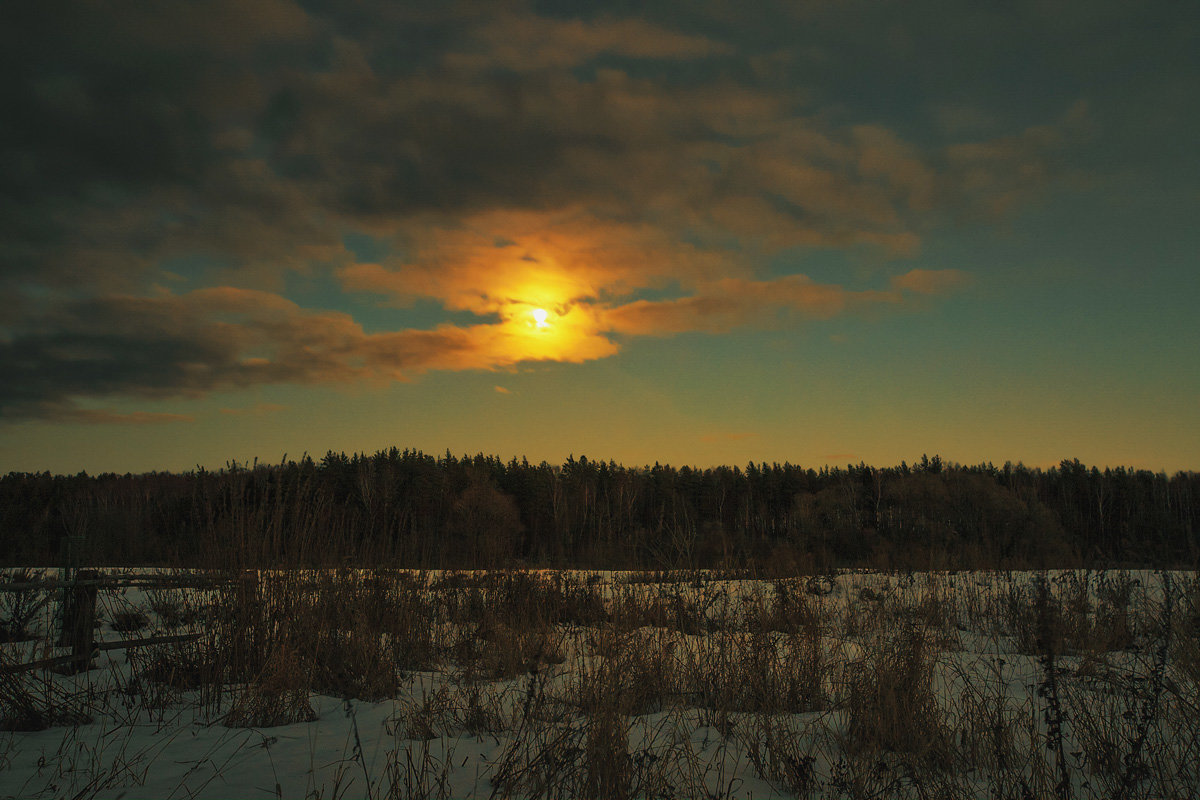 Восход луны над лесом - Людмила Лебедева