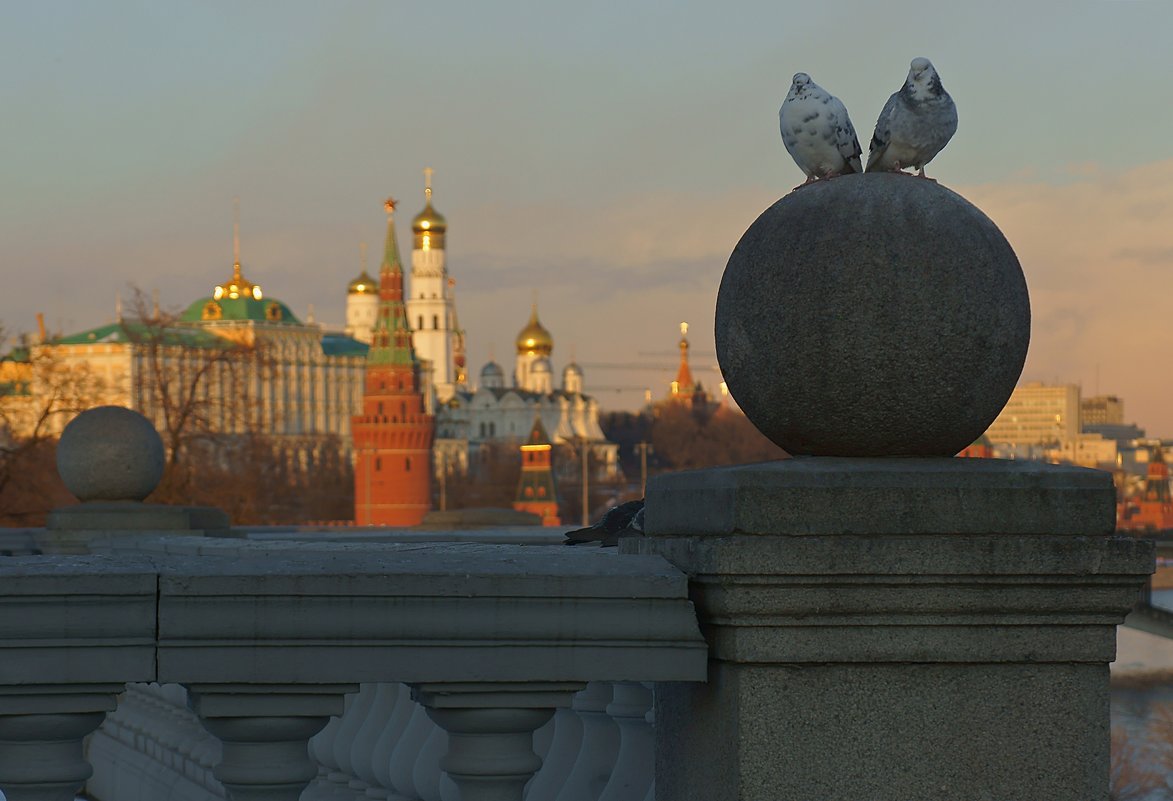 Голуби на фоне Кремля - Alex 