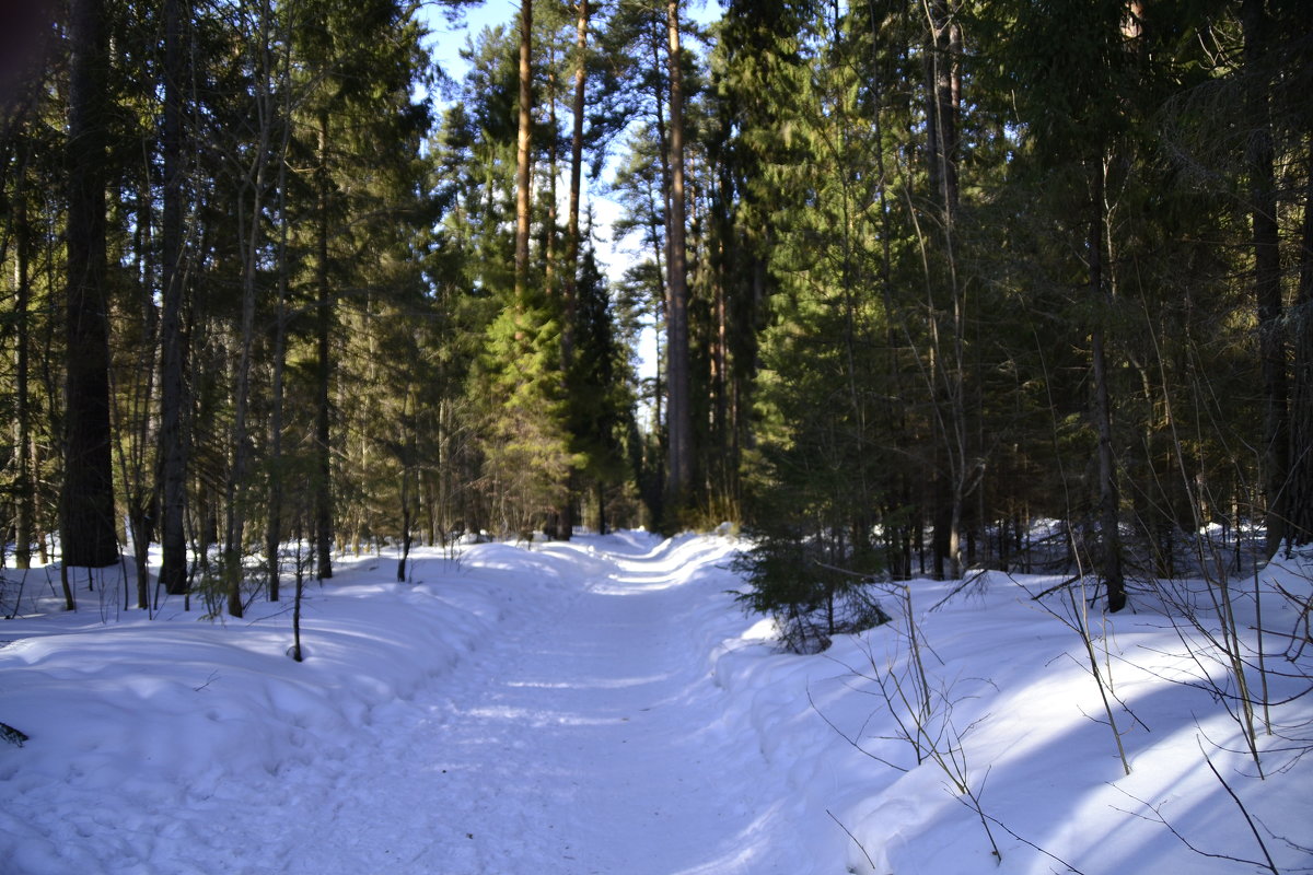 парк зимой - petyxov петухов