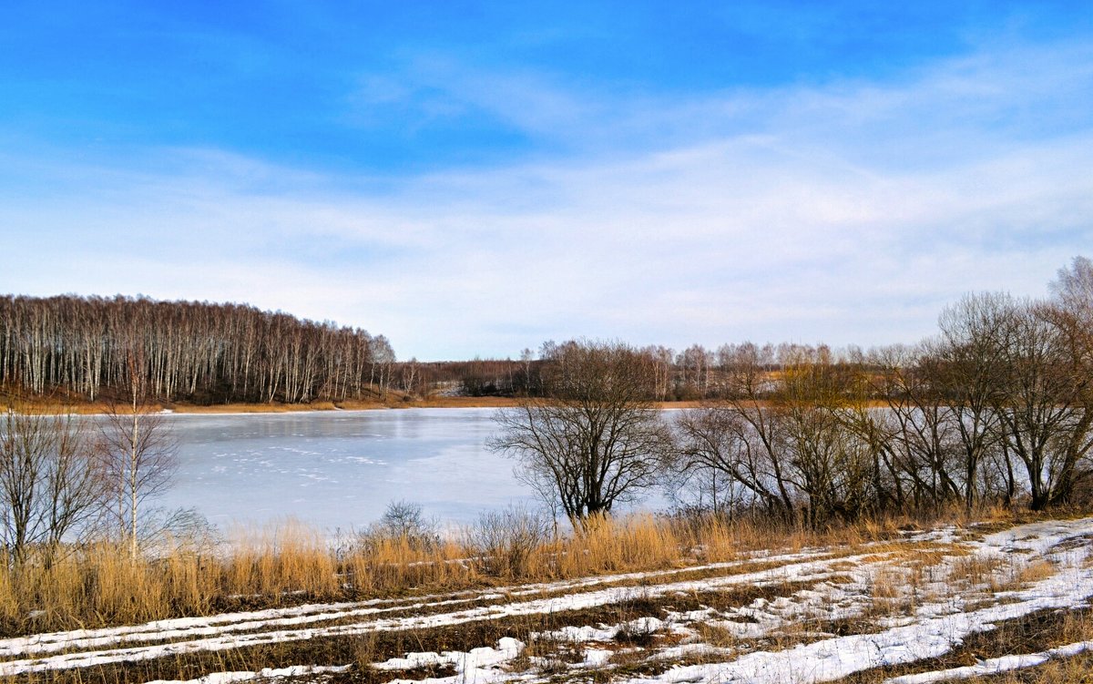 Весенний пейзаж в феврале - Милешкин Владимир Алексеевич 