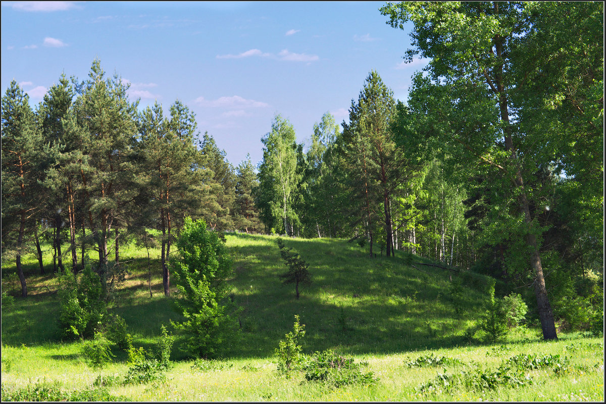 *** - Александр Лихачёв