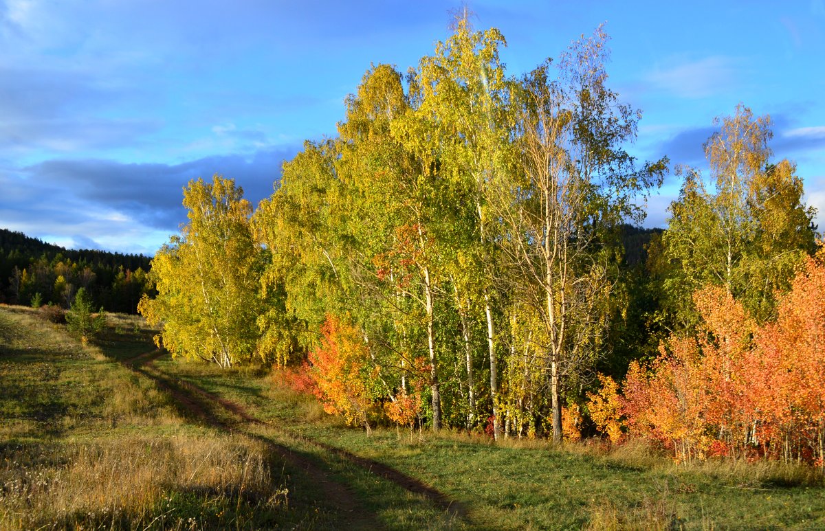 Осень - Галина Бирюлина 