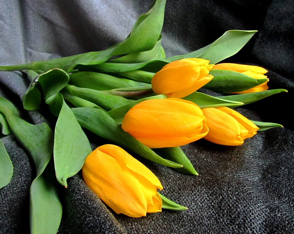 Желтые тюльпаны - Сергей Карачин