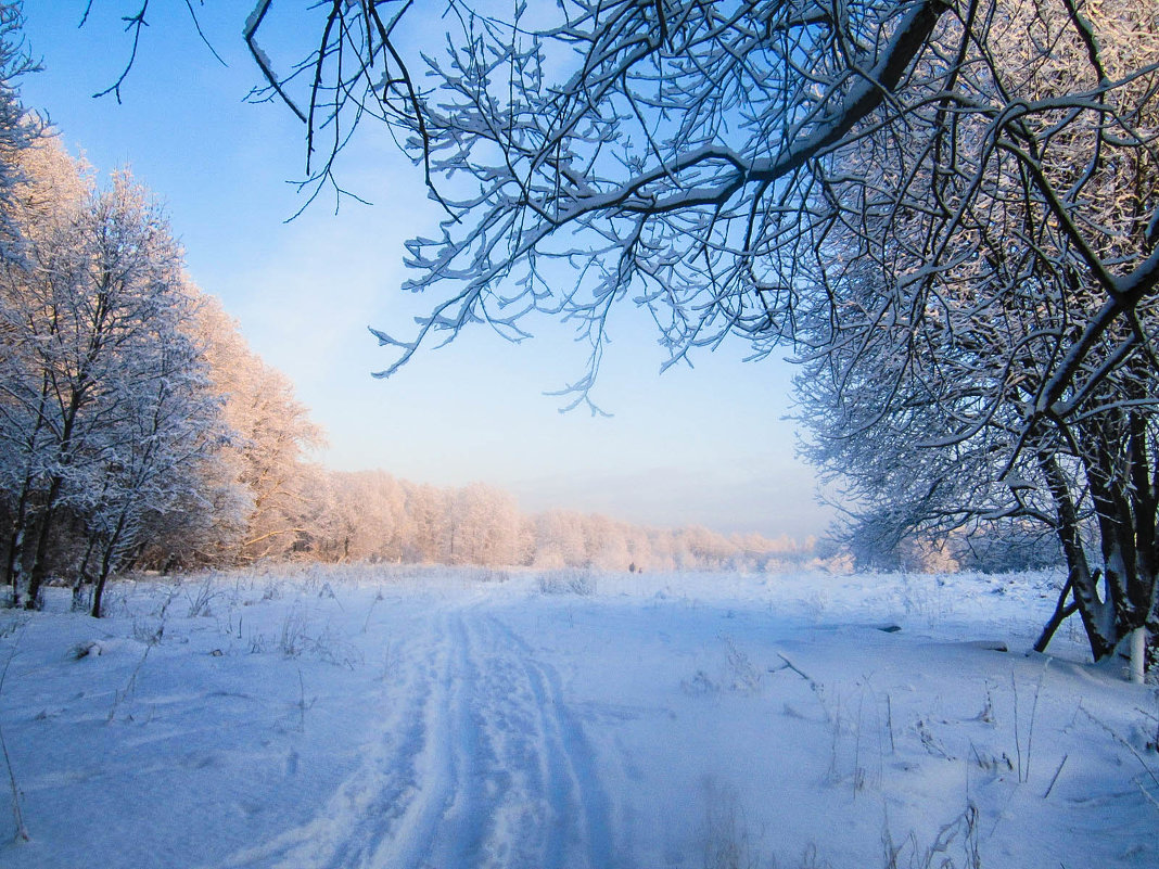 Зимний день - Алёнка Шапран