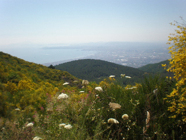 Неаполитанский залив - Алёна Савина
