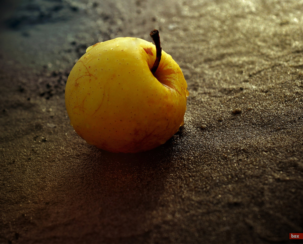 Яблоко на мокром песке. - Аnatoly Polyakov