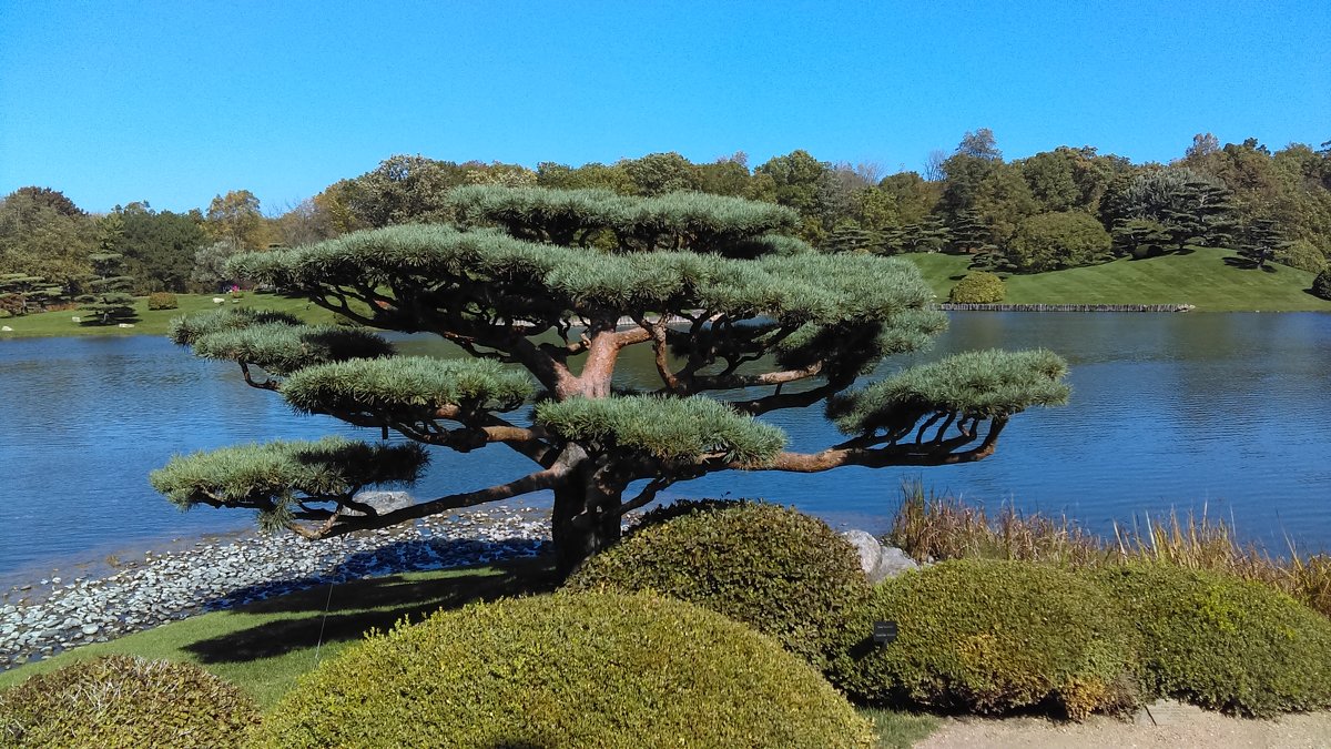 Chicago Botanic Garden - Fidel Nekastro