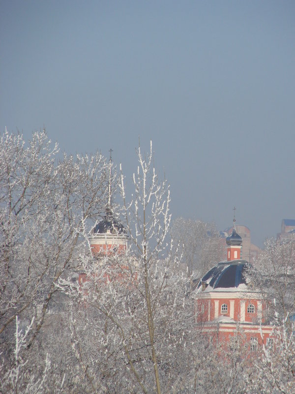 Церковь среди зимних деревьев - Сергей Тагиров