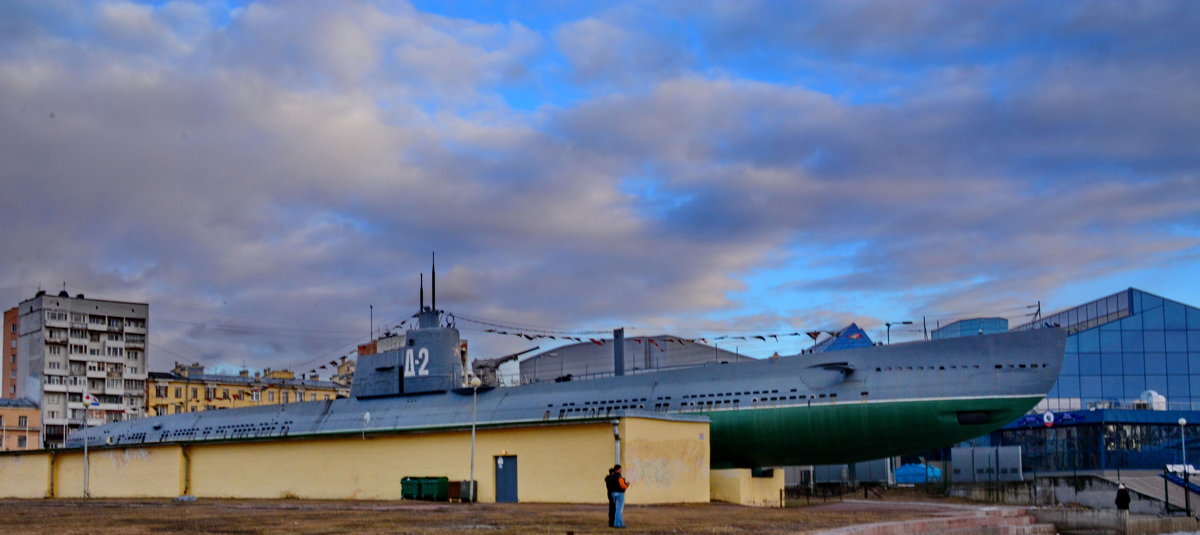 Подводная лодка Д-2 - Валентина Папилова