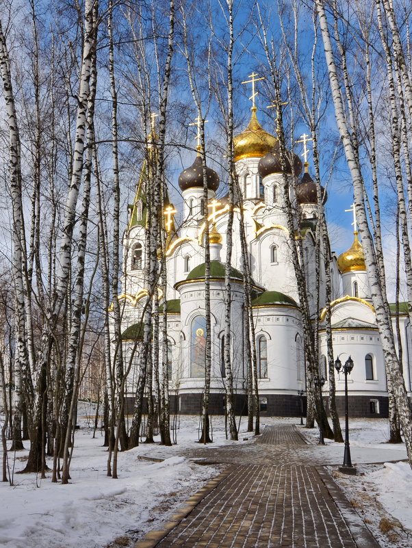 Церковь Александра Невского - Леонид Иванчук