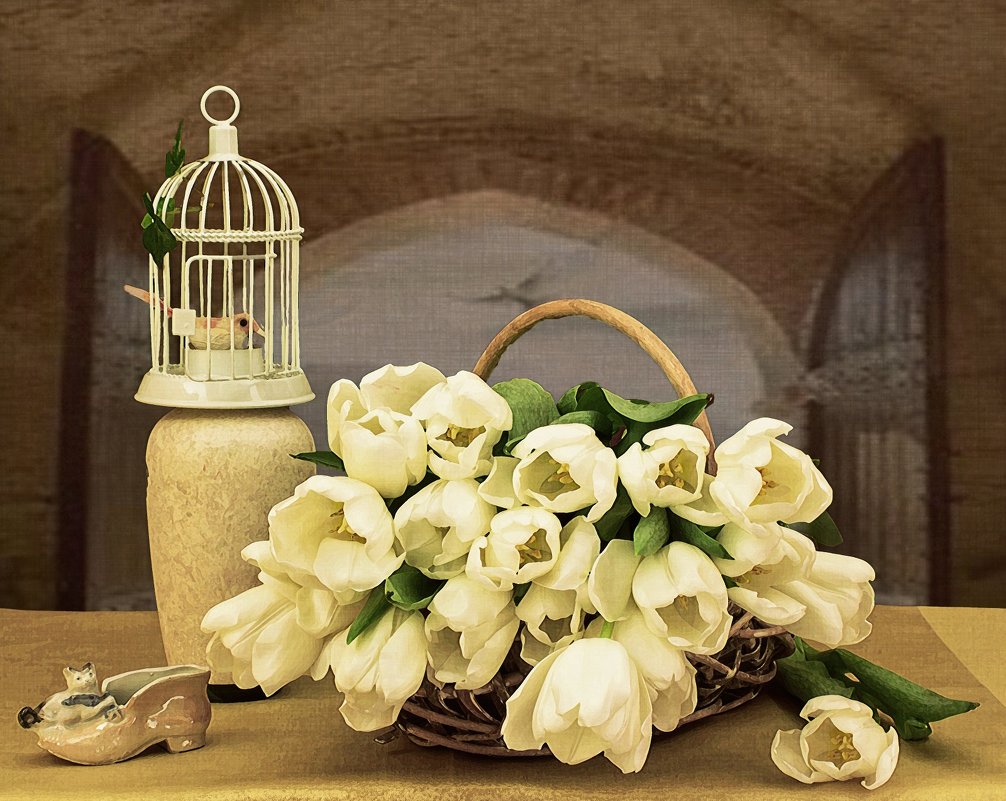 Белые тюльпаны - Надежда 